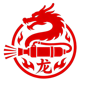 龙盛安森防